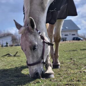 277815874_140549611835618_7184525668311710671_n