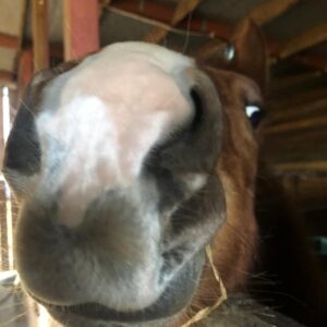 277916395_310817401175610_3096601051007175478_n