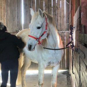 277967976_1046358456093323_2676692959275608676_n