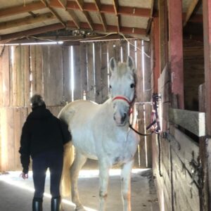 277973837_689713332228922_7381875415290302601_n