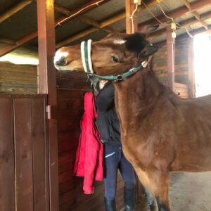 277991286_315910117312228_8809722639026738718_n