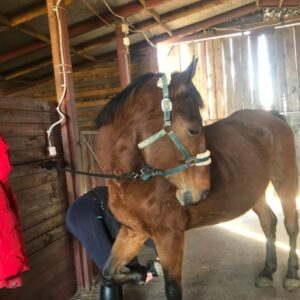 277996445_940523093295444_8150438246381660880_n