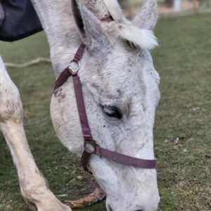 278078532_140549431835636_6995955888811178501_n