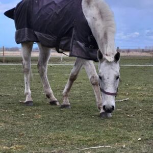 278093273_140549491835630_8062005059775689633_n