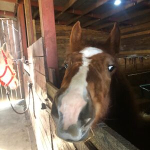 278102247_2763905843916088_3850078109467226026_n