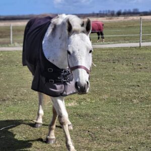 278142146_140549375168975_3046837579967429429_n