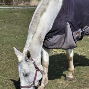 278222363_140549405168972_3654254525155898209_n