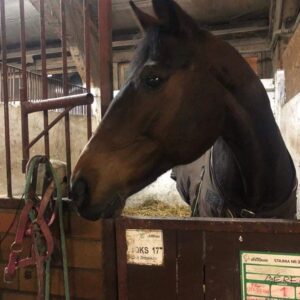 278391580_727915588228657_5439022808393332454_n