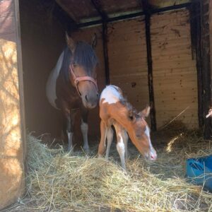 278426286_5058460897524443_9101830324199792410_n