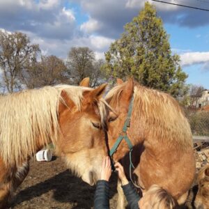 278447710_144811988076047_8464698733230784382_n