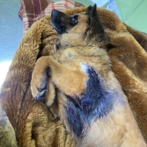 278465814_1158173588305066_3452625917358013997_n