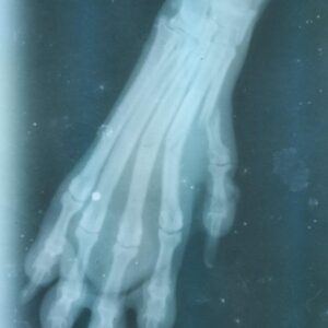 278466846_323436099726135_7559103290405660845_n