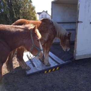 278484905_144811771409402_6621091104940075956_n