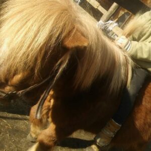 278486861_144811948076051_6420699037044254203_n