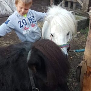 278570476_144811881409391_6802319092191620208_n