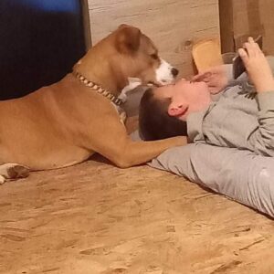 278575833_144812128076033_4841850917471321551_n