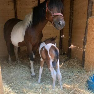 278603080_995859584379870_3505855101072210112_n