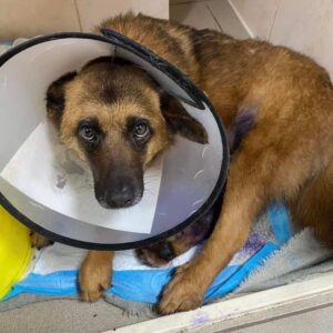 278655577_1163065197568449_900259437197488366_n