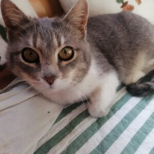 278655622_685799952669325_4476736154492728936_n