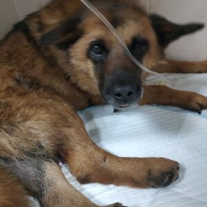 278668910_3238922239767181_1944801384447291004_n