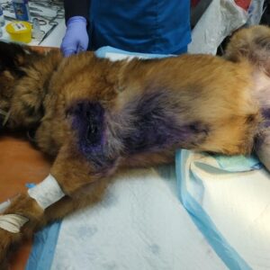 278737496_290956236571371_1861261566602272980_n