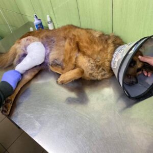 278780306_679764883295270_2402643509690497553_n