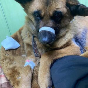 278782206_380624557282625_2273090408103127354_n