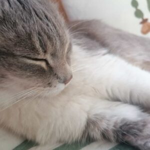 278905714_940865493267990_7082552185697639309_n