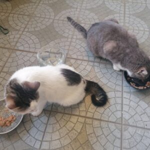 278971722_518493029743163_3688751499609170830_n