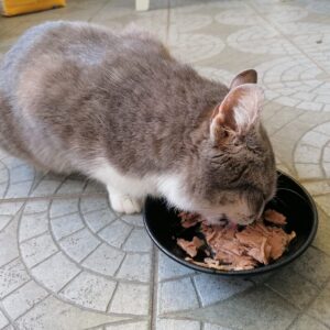 279138245_533953824995662_6282078723284928976_n