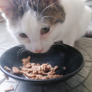 279143624_580325423453825_2447246558527551576_n