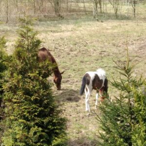 279300573_933420884020524_7378037462133445141_n