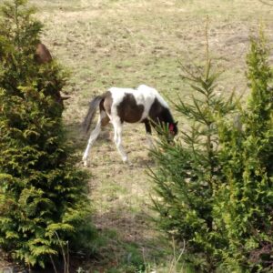 279380059_355162136676797_612708921863387816_n