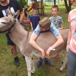Hippotherapie und Onotherapie