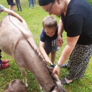 Hippotherapie und Onotherapie