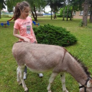 Hippotherapie und Onotherapie