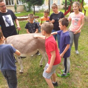 Hippotherapie und Onotherapie