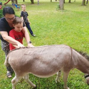 Hippotherapie und Onotherapie