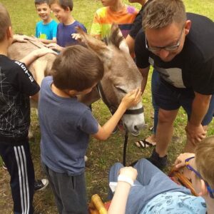 Hippotherapie und Onotherapie