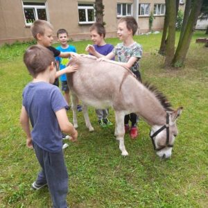 Hippotherapie und Onotherapie