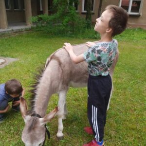 Hippotherapie und Onotherapie