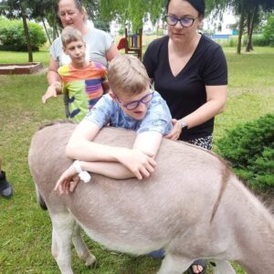 Hippotherapie und Onotherapie