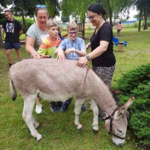 Hippotherapie und Onotherapie
