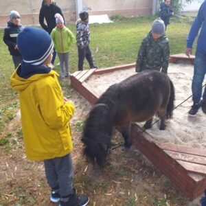 Hippotherapie und Onotherapie