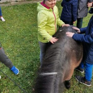 Hippotherapie und Onotherapie