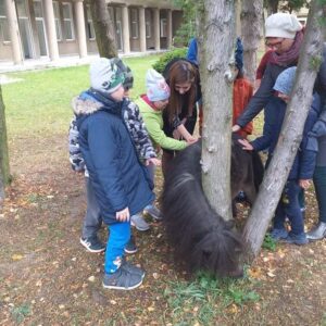 Hippotherapie und Onotherapie