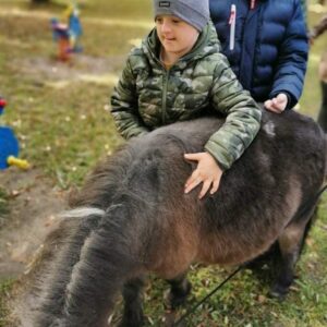 Hippotherapie und Onotherapie