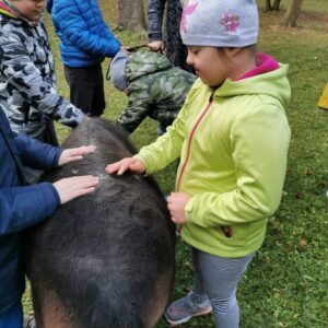 Hippotherapie und Onotherapie