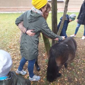 Hippotherapie und Onotherapie