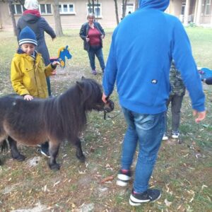 Hippotherapie und Onotherapie